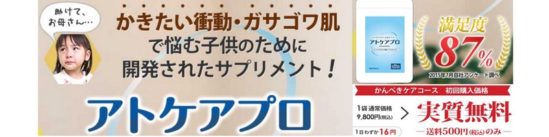 yzqy鎞̑΍ɃAgPAvTCg
